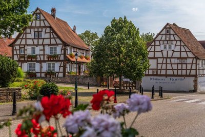 Alsace Verte - Cédric Schell