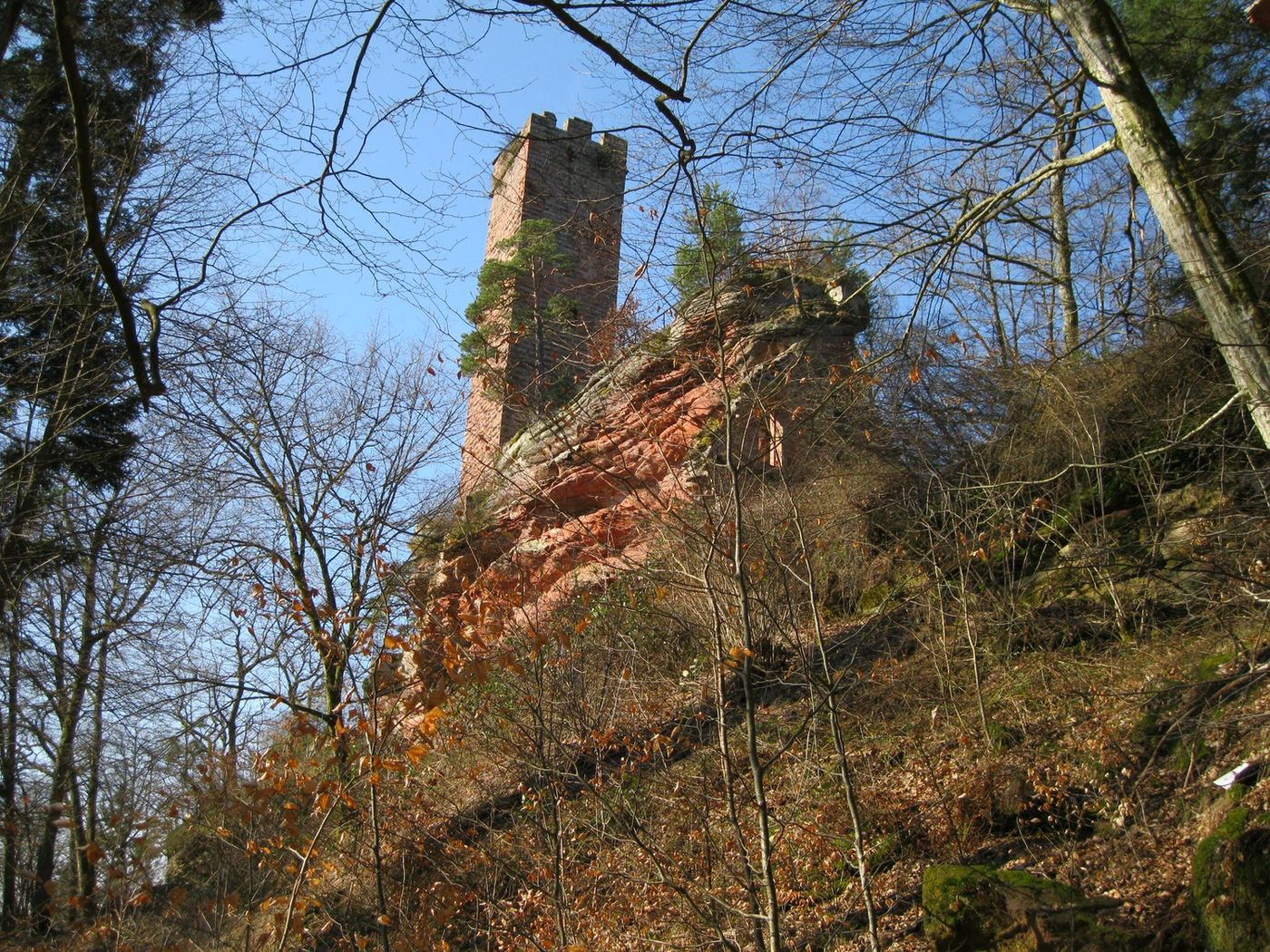 Escalade du rocher de Waldeck