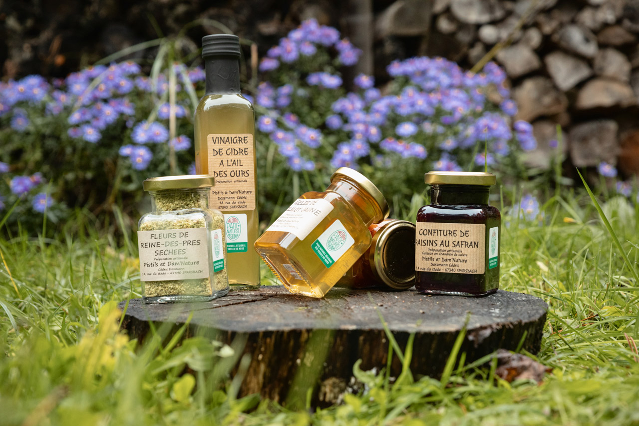 FilmsEurope - A Nachbauer