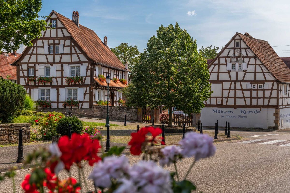 Alsace Verte - Cédric Schell