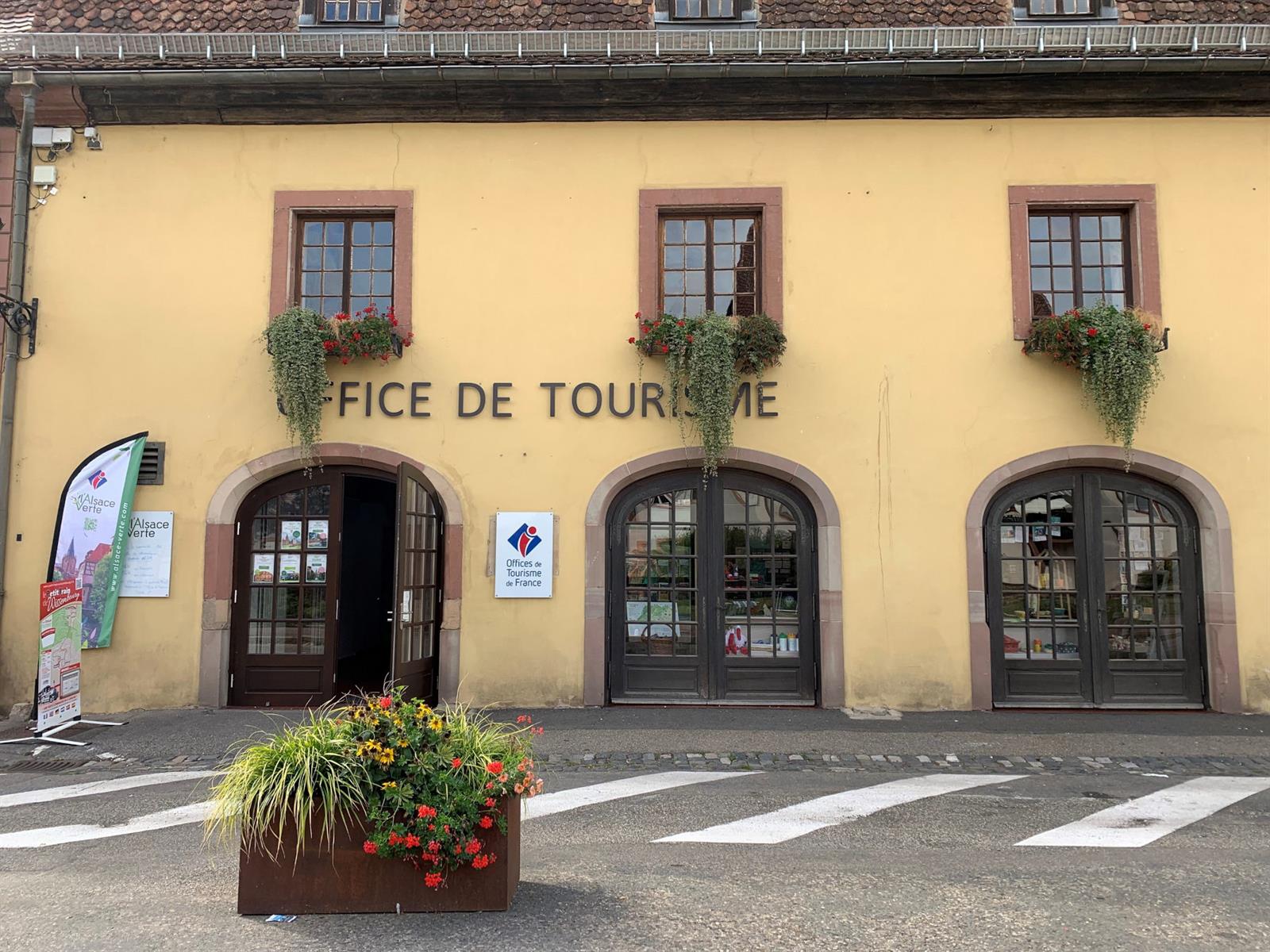 OTI Alsace Verte