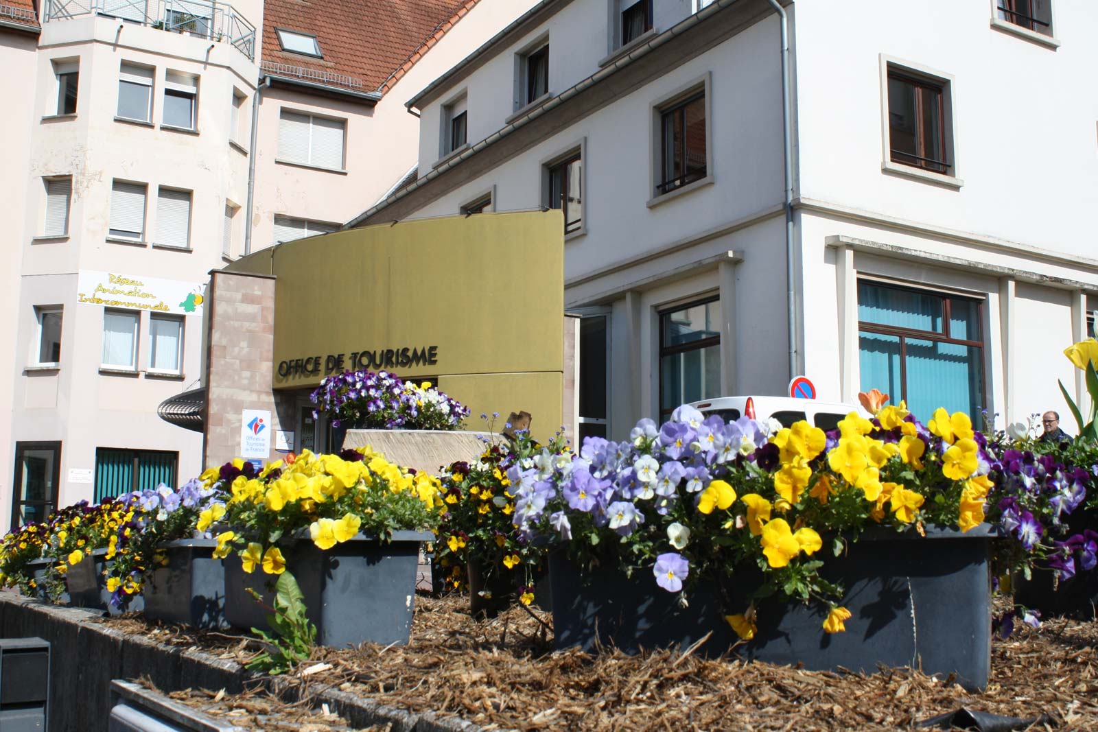 OTI Alsace Verte