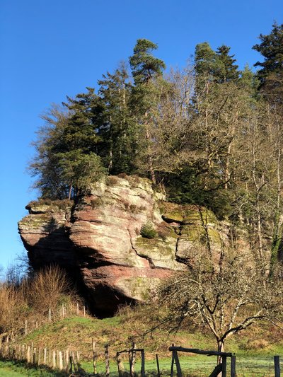 Rocher d'Oberhof, mars 2019