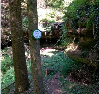 Cascade de la Seilbach Schorbach