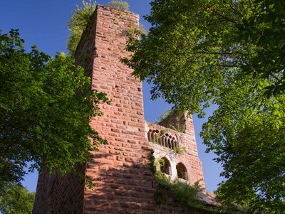 Château de la Wasenbourg