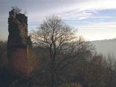 Château fort de Greifenstein