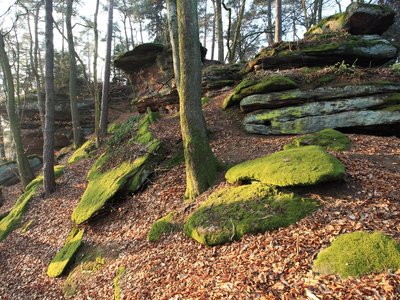 Rochers du Hammelsberg