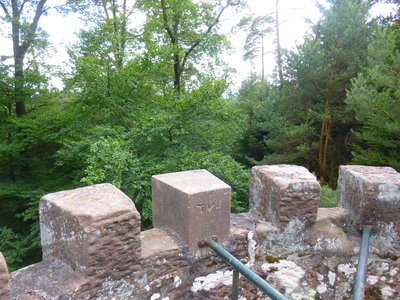 Vue du sommet sur la canopée