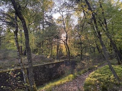 Fossé antichar du Hochwald
