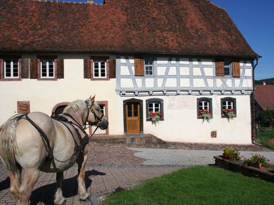 Moulin à huile de Wimmenau