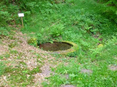 Fontaine Nassau