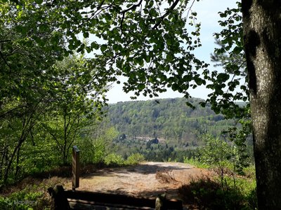 Vue sur les collines vosgiennes, à l'ombre sur le banc