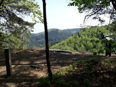 Arrivée au point de vue du Loosthal