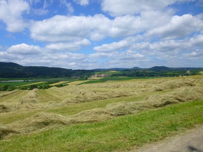 Point de vue sur Rott et le piémont des Vosges du Nord