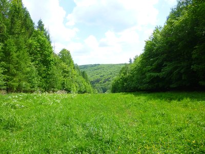 Passage des oléoducs et des gazoducs avec vue sur la vallée du Spielersbach