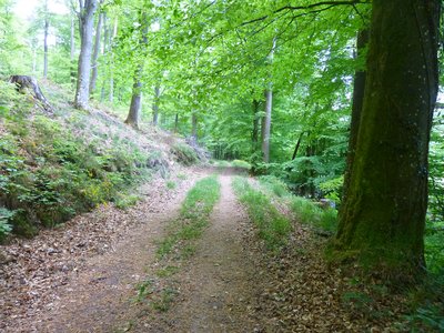 Levée de terre de la Burg à gauche