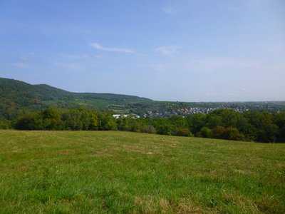 Vue sur Wissembourg et son vignoble