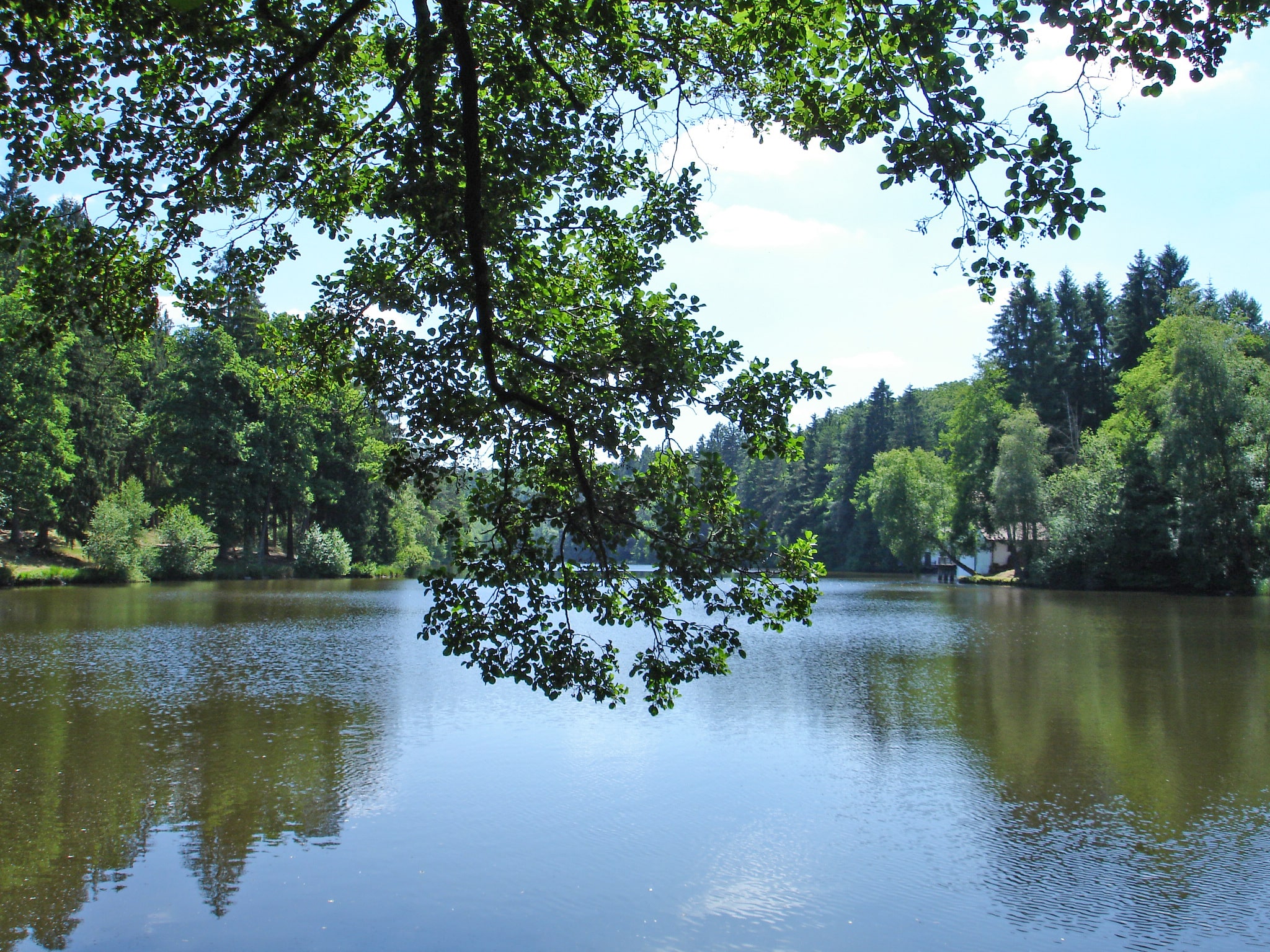 Etang de Hasselfurth