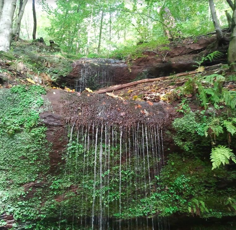 Cascade des Ondines à Lemberg