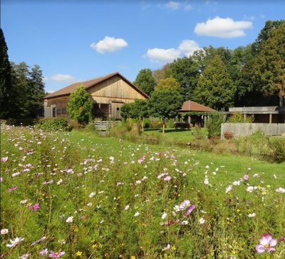 Site du moulin d'Eschviller