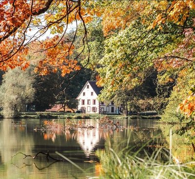 Etang de Saint-Louis-les-Bitche