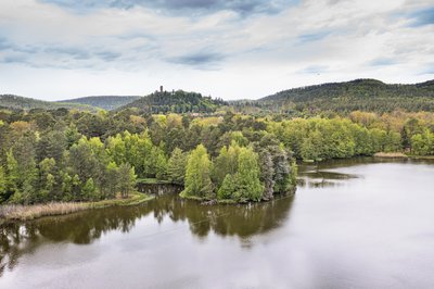Etang de Hanau et Waldeck