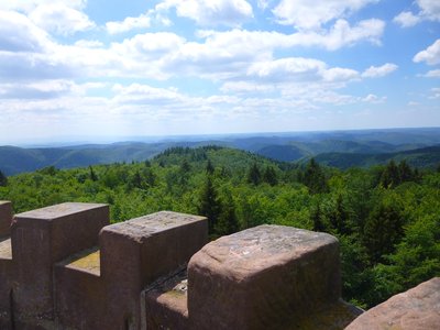 Enfin, tous ces efforts n'auront pas été vains : voici le point culminant des Vosges du Nord !