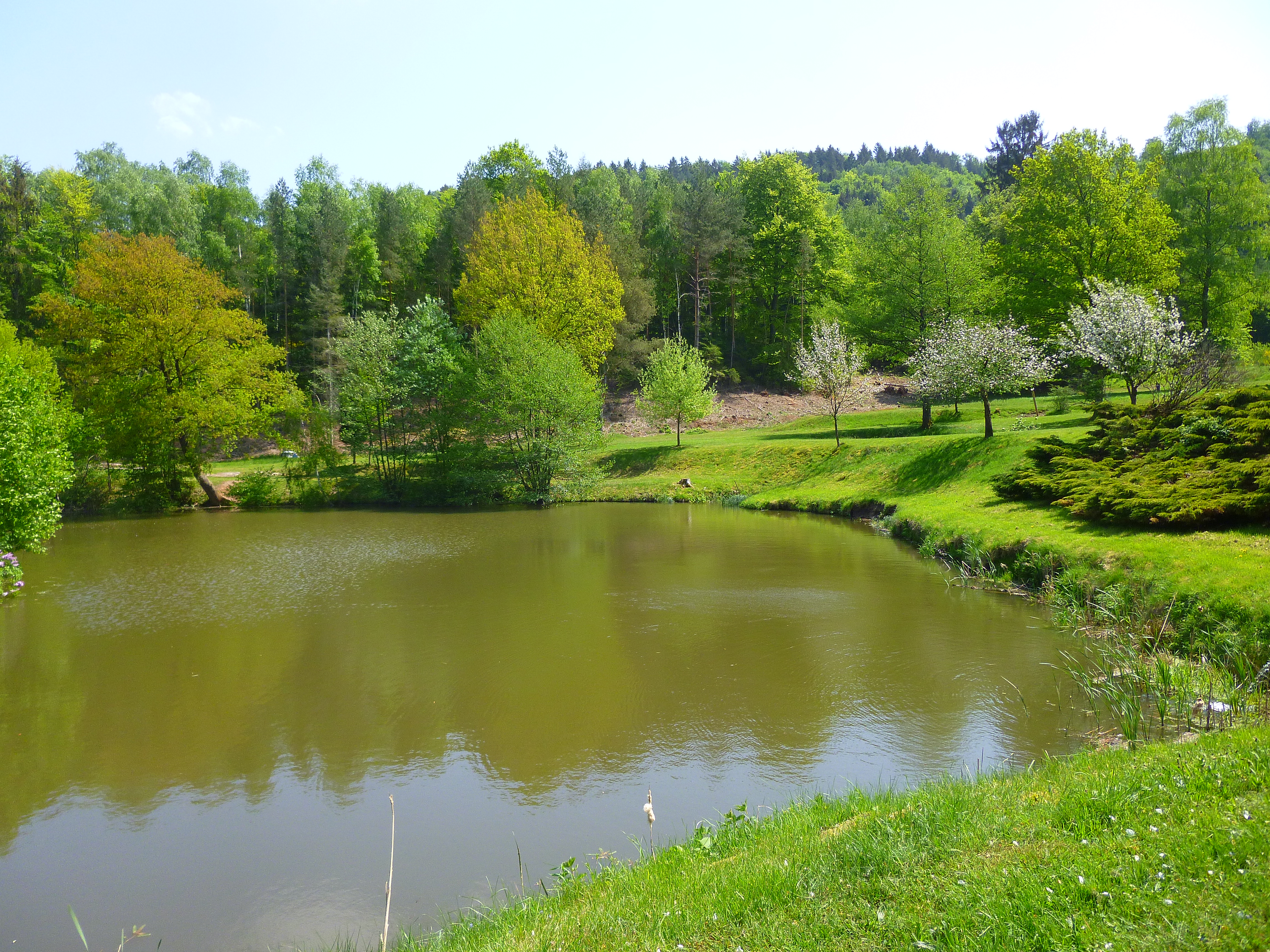 Étang d'Imsthal