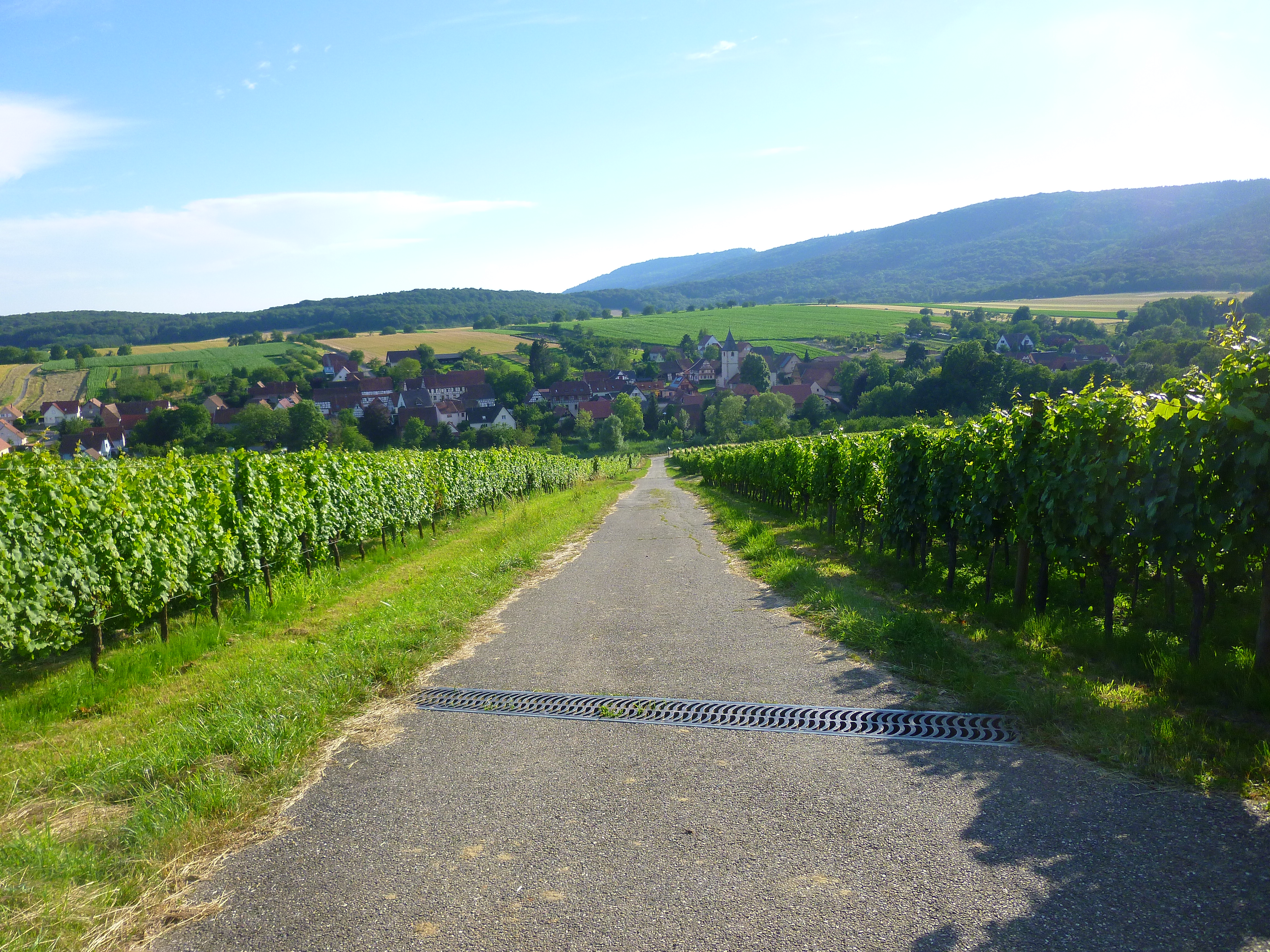 Descente vers Cleebourg