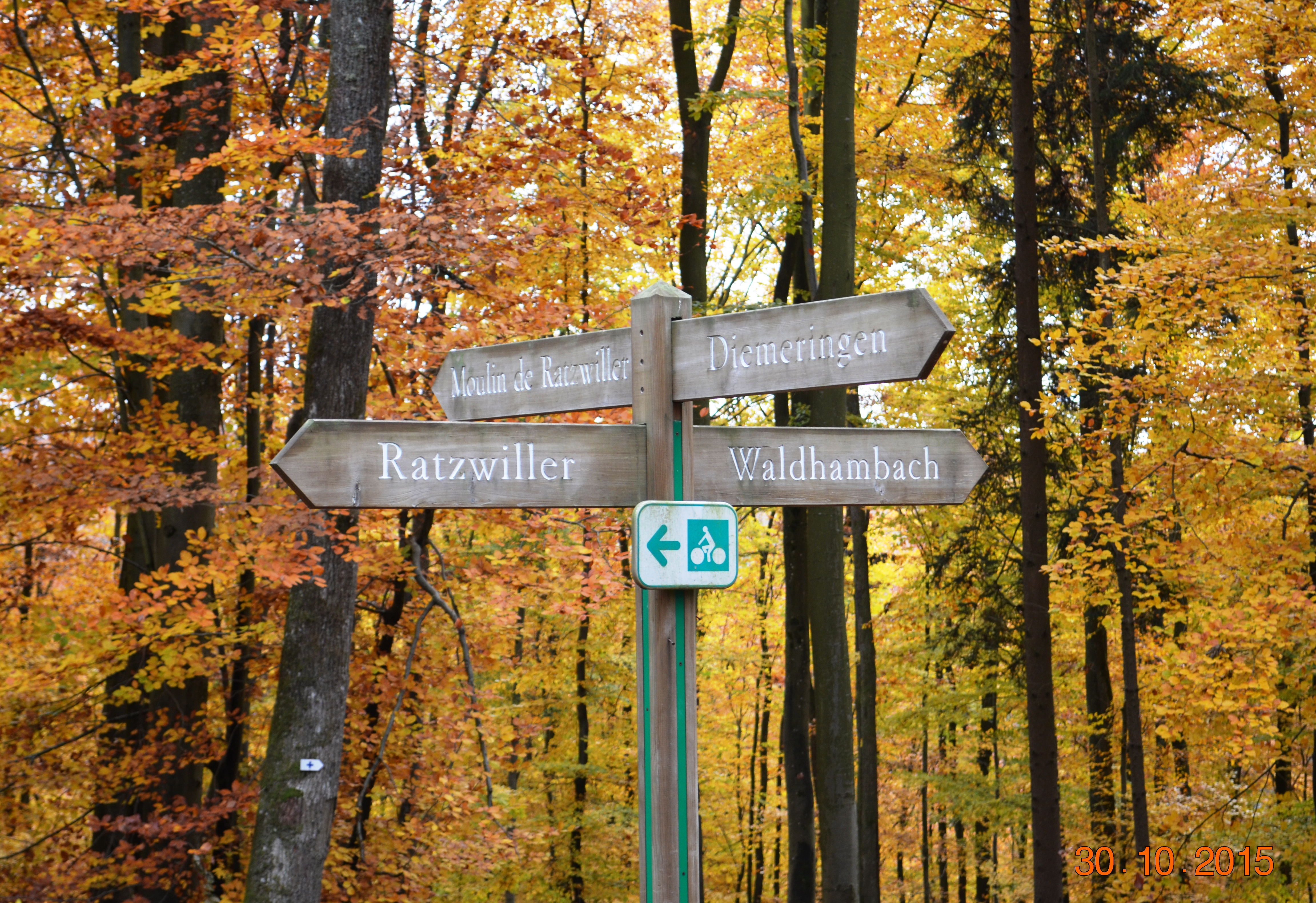 Forêt de Grunewald