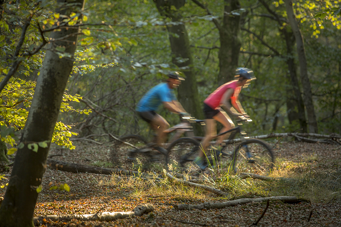 VTT en forêt