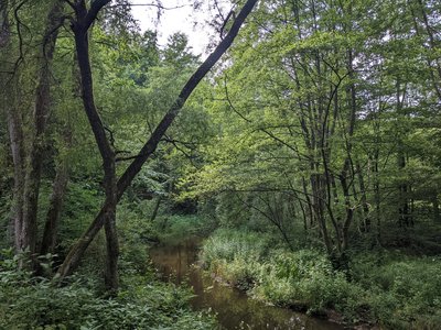 Rivière de la Sauer