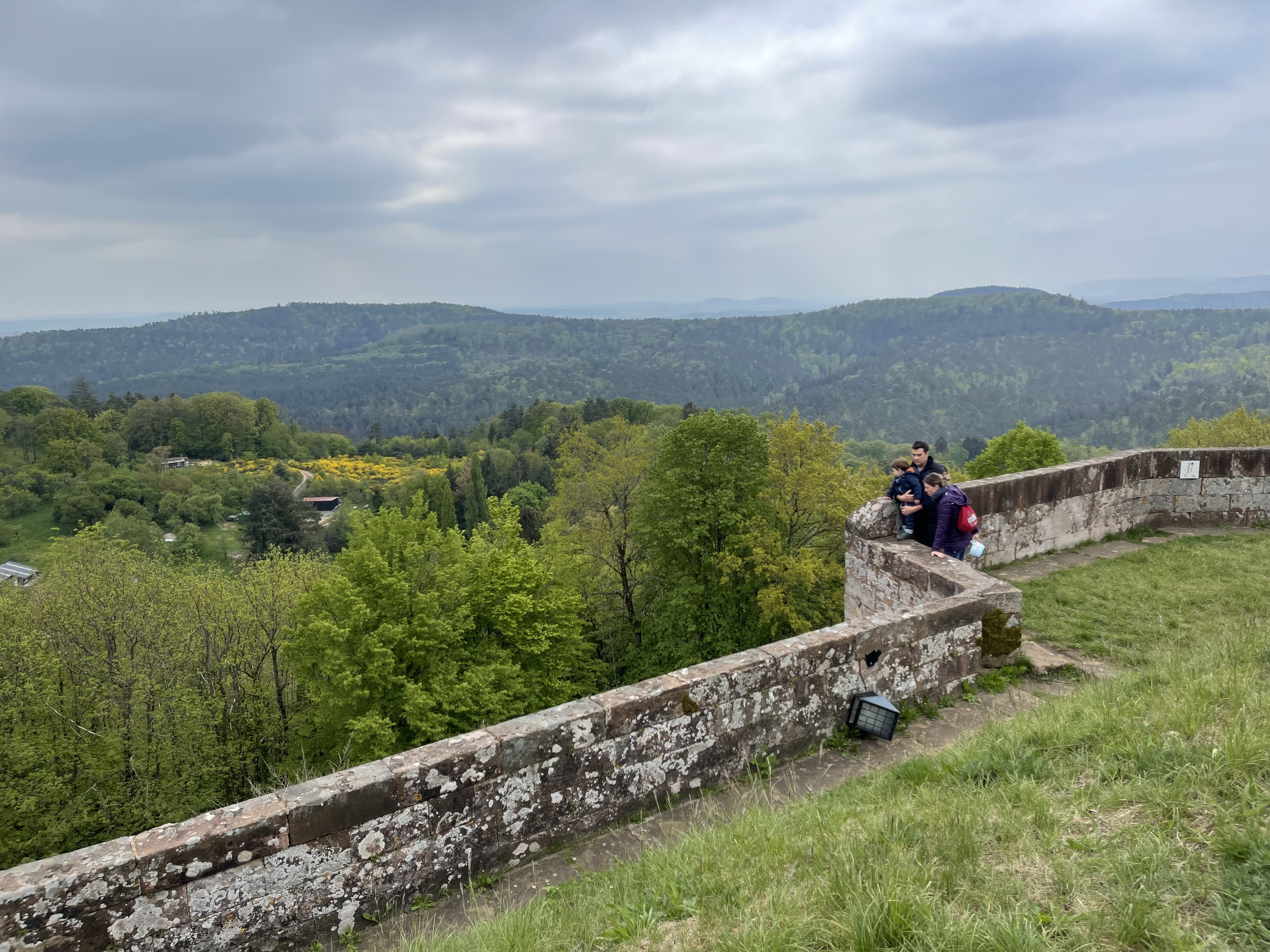 Vue depuis le château de Lichtenberg
