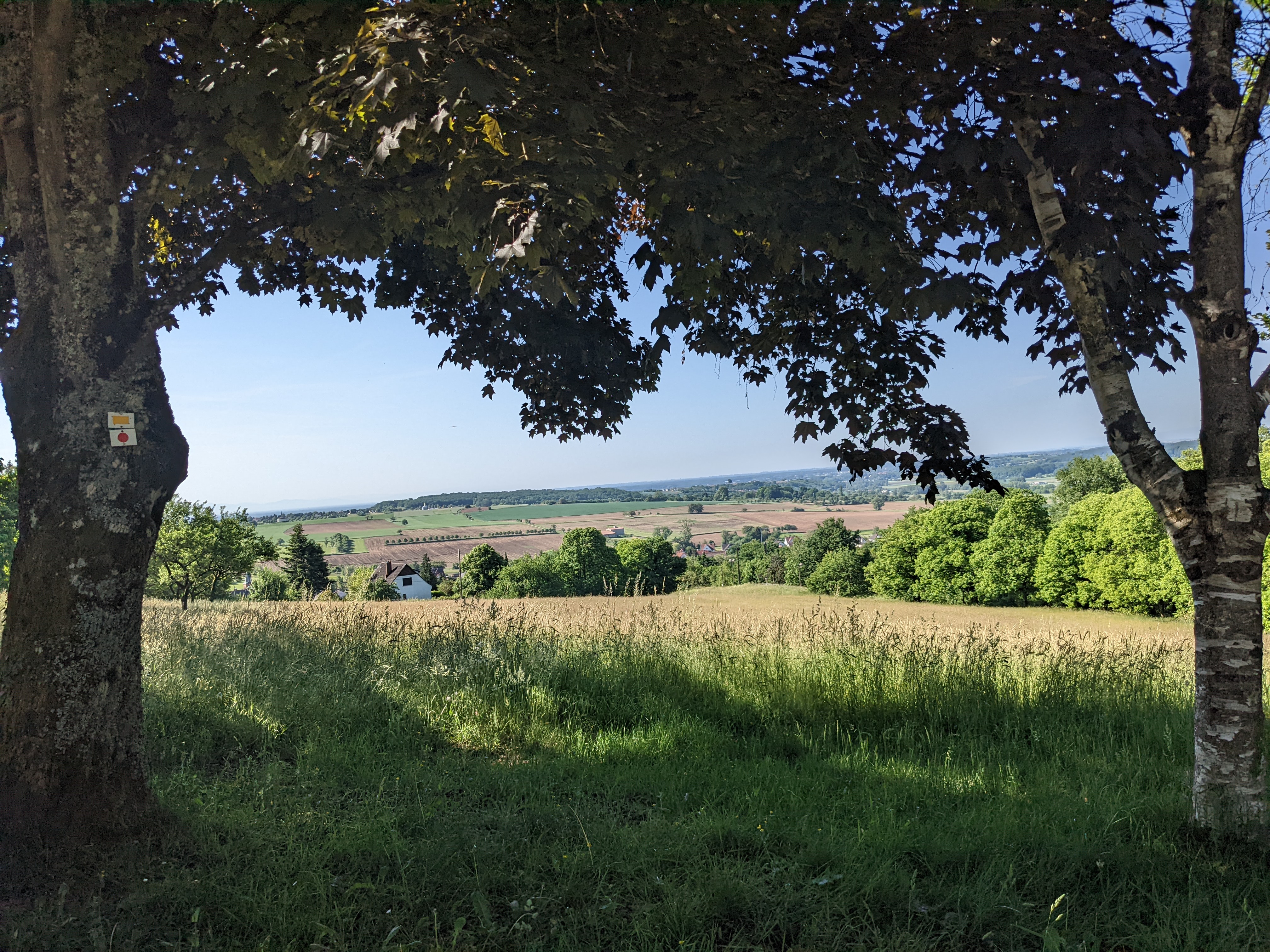 Vue sur Goersdorf depuis le Liebfrauenberg
