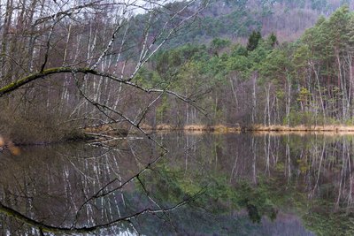 Etang de l'Erbsenweiher