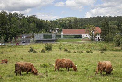 Highlands devant le musée Lalique