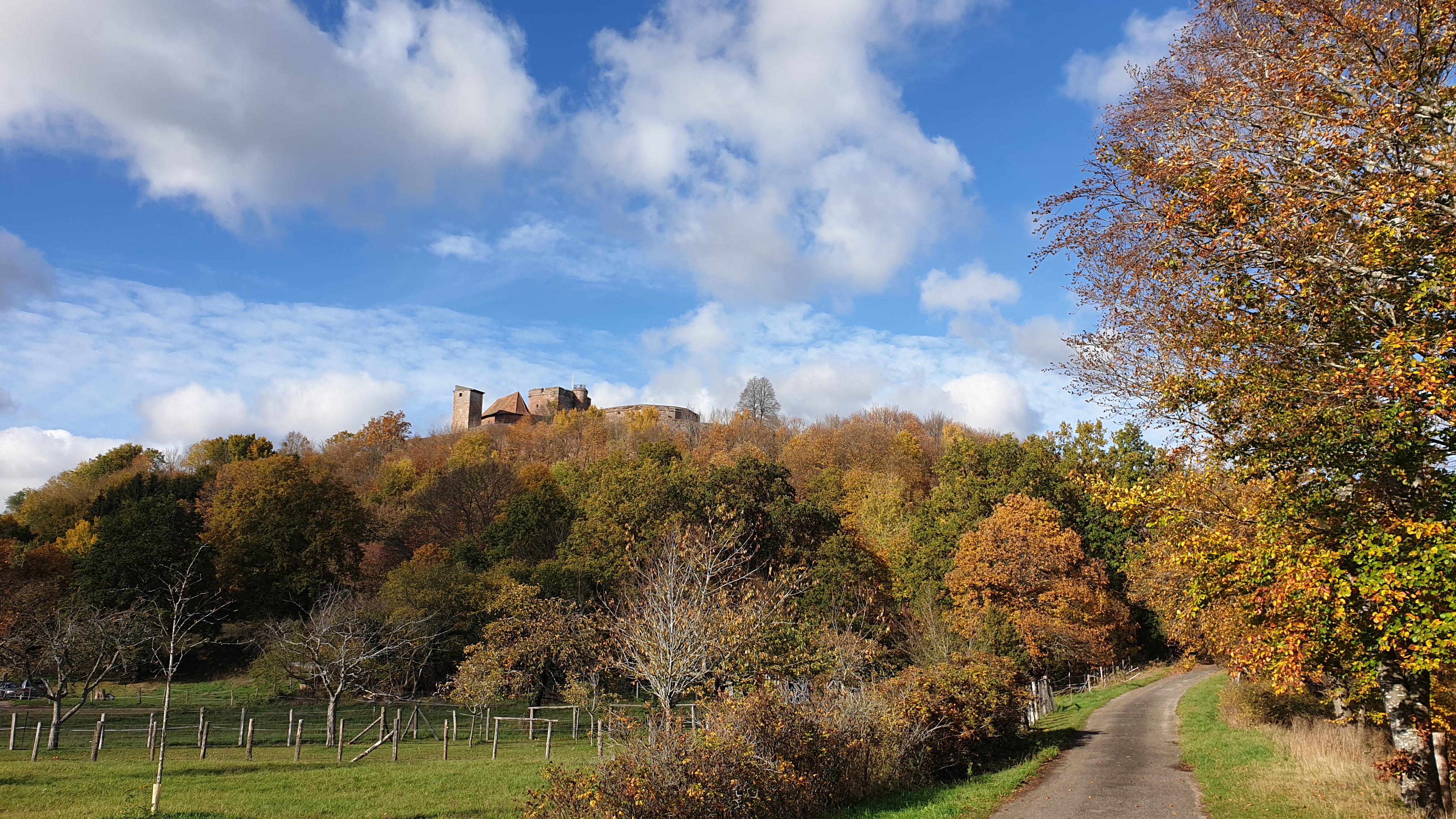 Sentier des chataigniers